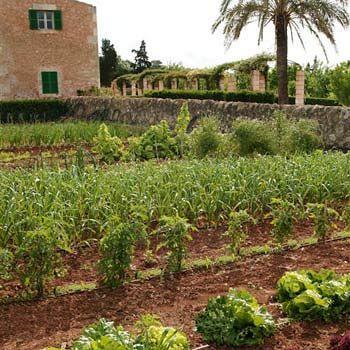 Landhaus Casa Rural Son Bernadinet Campos (Mallorca)