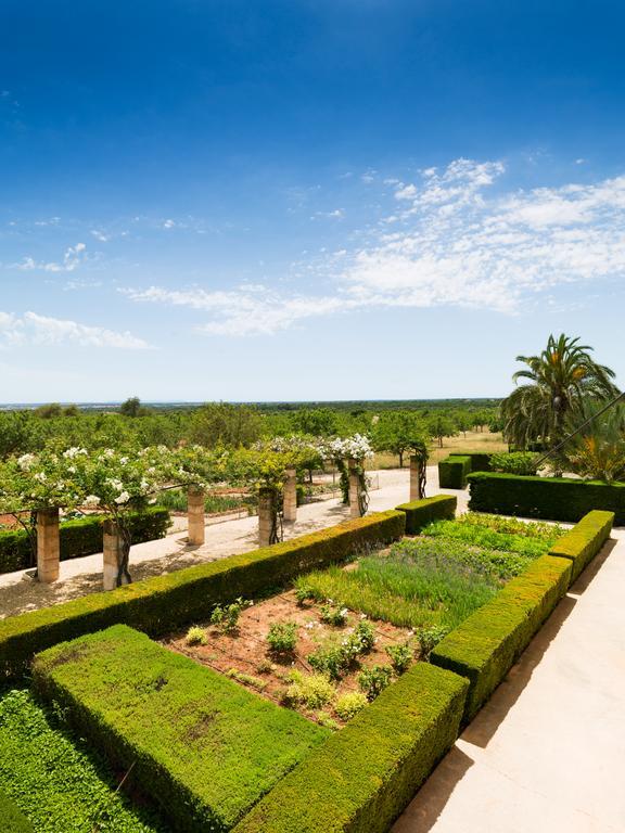 Landhaus Casa Rural Son Bernadinet Campos (Mallorca)