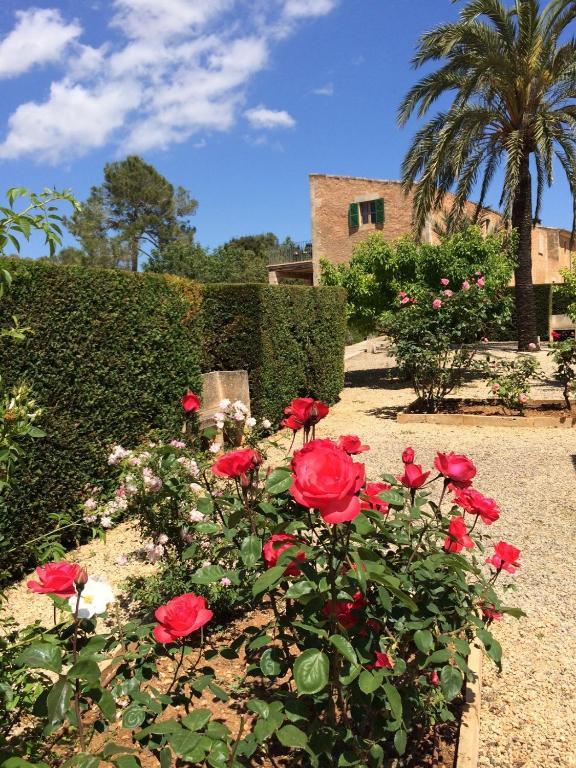 Casa Rural Son Bernadinet Country house Campos (Mallorca)
